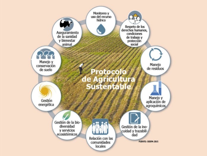 Agricultura sustentable