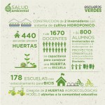 graficos escuelas verdes 1