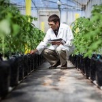 monsanto-2