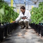monsanto-2