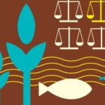 Regulaciones-420×258