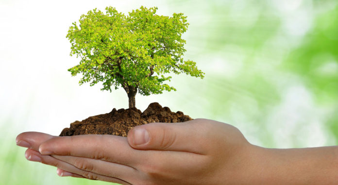 semana del medioambiente