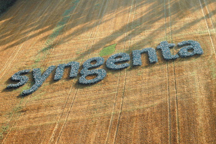 Logo en campo Syngenta