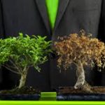 images-2