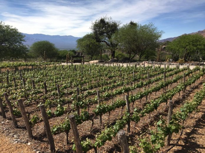 482b52a9-0185-4e4f-a087-8bd3fb98d894