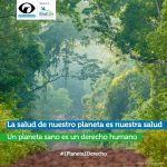 Selva