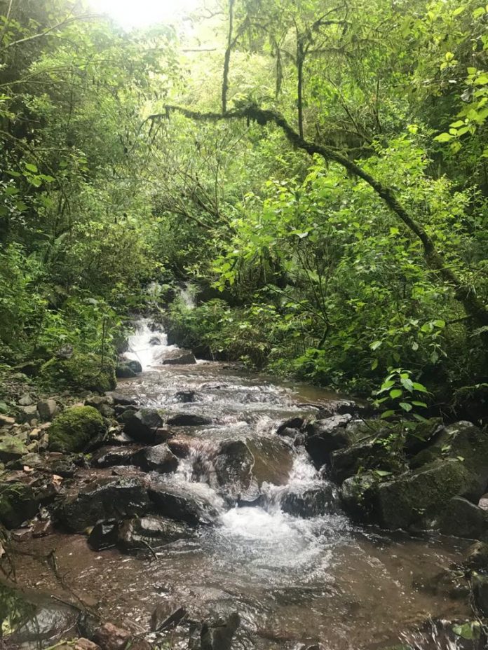 Quebrada de San Lorenzo, Salta.