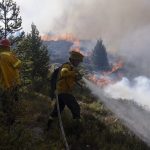 BCHE-Incendio-Forestal-Circunvalacion-005-scaled