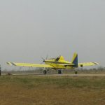 Incendios Ledesma (3)