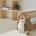 Eco-Packaging-for-Lifestyle-TV-Lineup_4-e1622560810610-1024×603-1