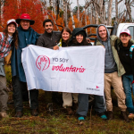Plantacion-Lanin-2022