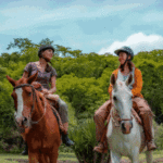 Salta-un-destino-con-historias_Banner-Web-DISEÑO-1_300x600-px