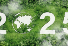 Las 7 tendencias en sostenibilidad e impacto para 2025